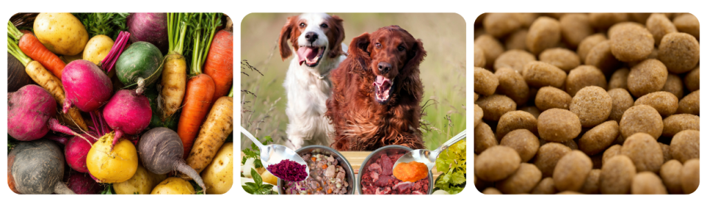 Fresh vegetables, prepared dog meals, and dry kibble shown side by side.
