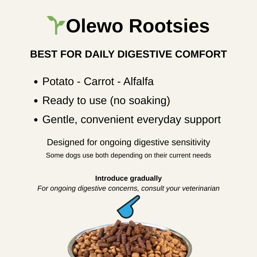 Infographic comparing Olewo Rootsies dog food topper, showing a bowl of kibble with Rootsies and highlighting daily digestive comfort and convenience.