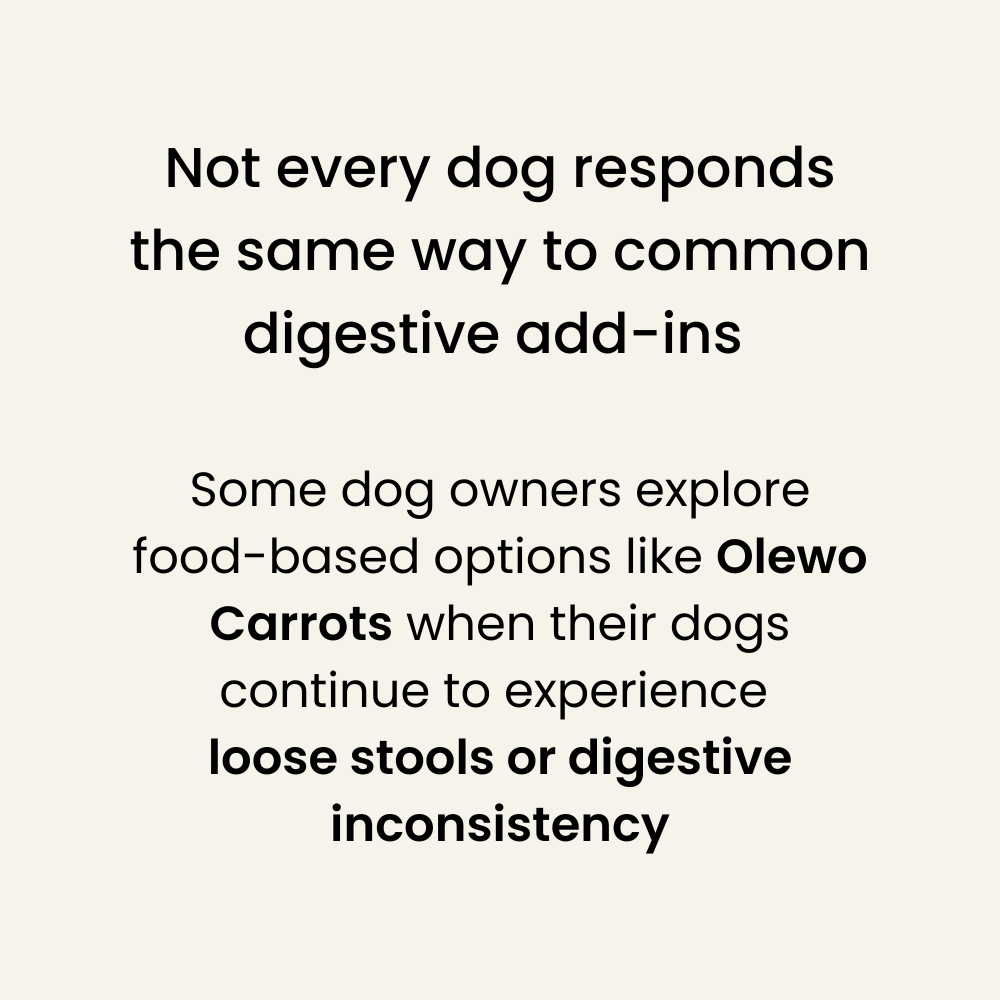 Image with text that explains not every dog responds the same way to digestive add-ins.