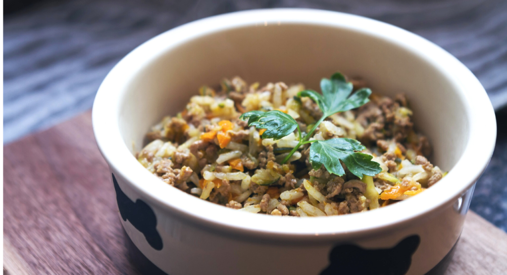 Dog food bowl filled with fresh food-based ingredients including meat, rice, and vegetables