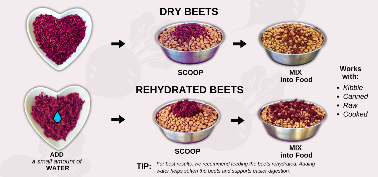 Diagram showing how to feed Olewo red beets to dogs dry or rehydrated as part of a daily feeding routine