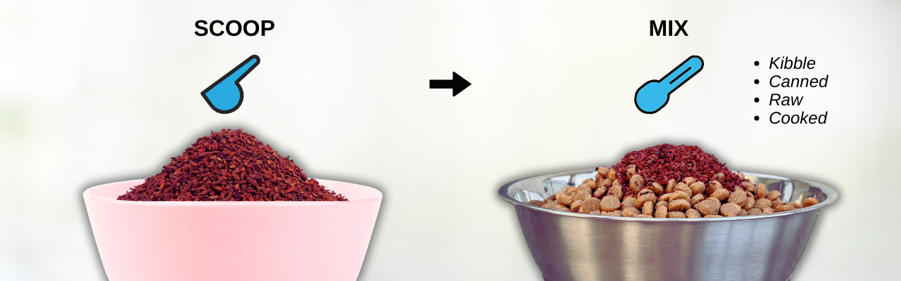 diagram showing how to use red beet granular as a dog food topper