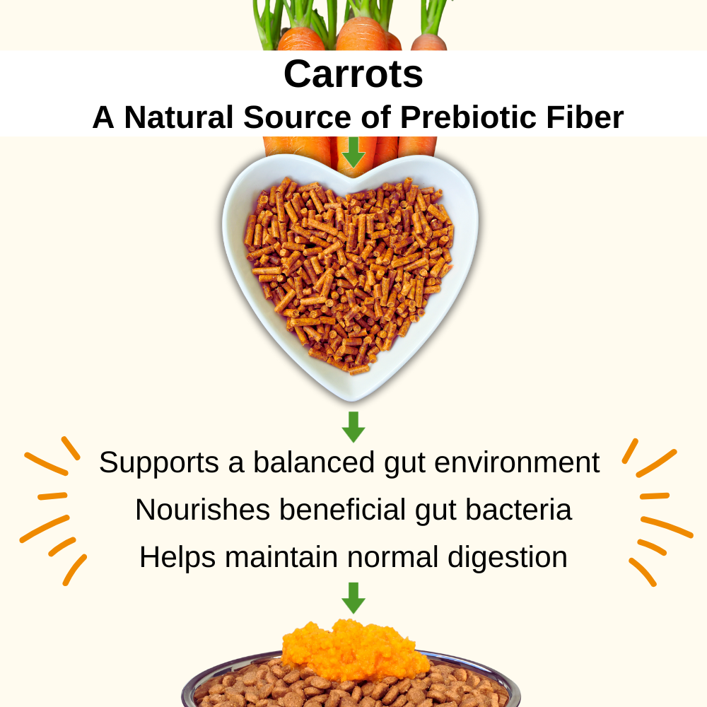 Infographic showing carrots as a natural source of dietary fiber that supports digestive balance.