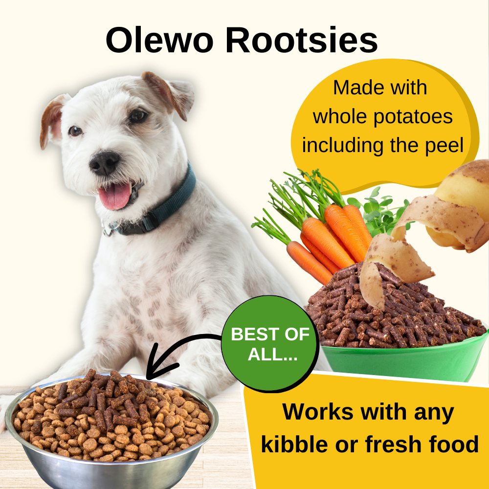 Dog sitting behind a bowl of kibble topped with Olewo Rootsies pellets, ready to eat.