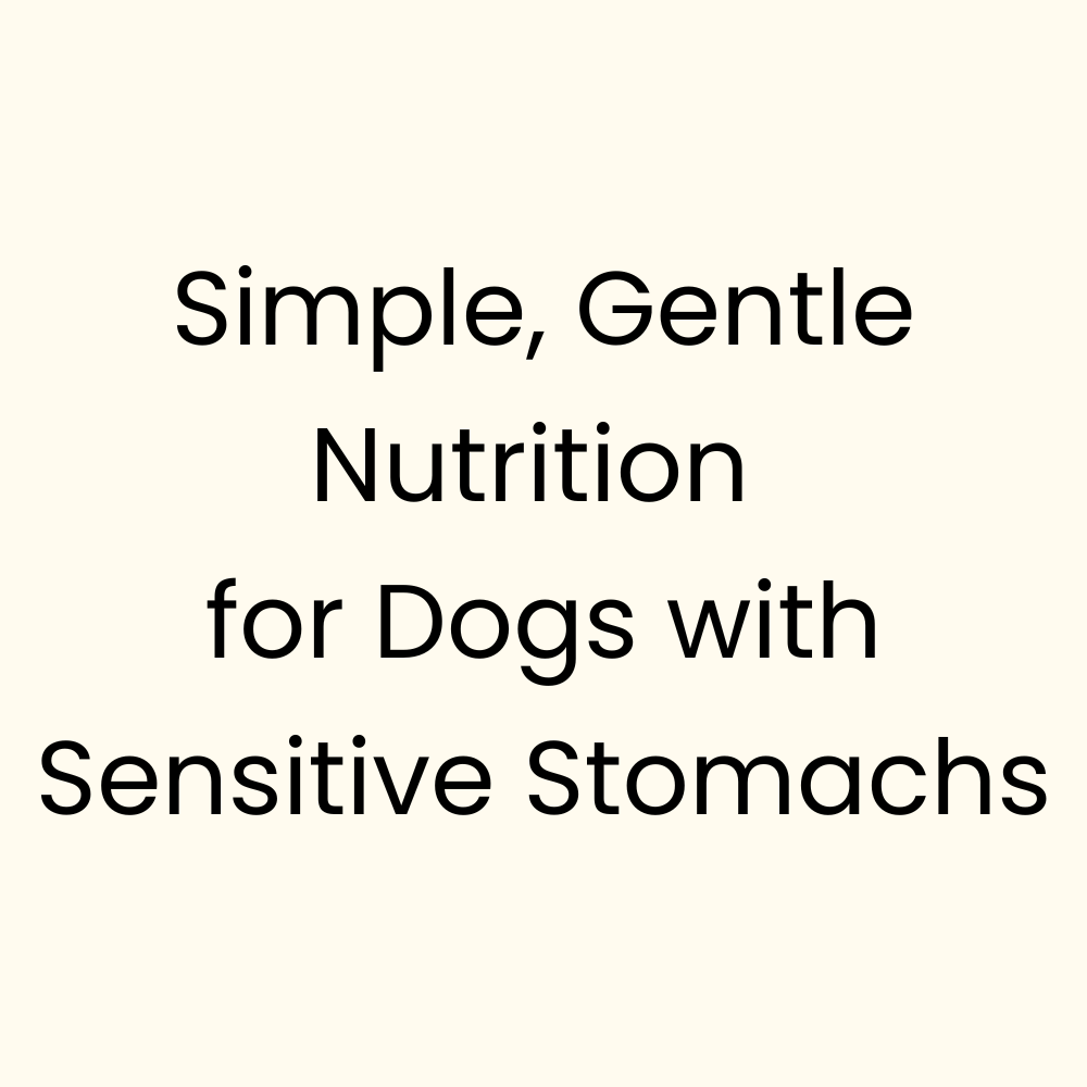 Graphic stating simple, gentle nutrition for dogs with sensitive stomachs.